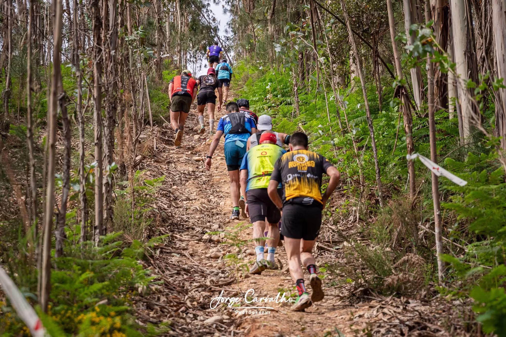 Momento Ameal Trail 9